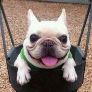 Meet your Posher, Sam